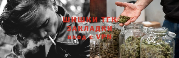 PSILOCYBIN Переславль-Залесский