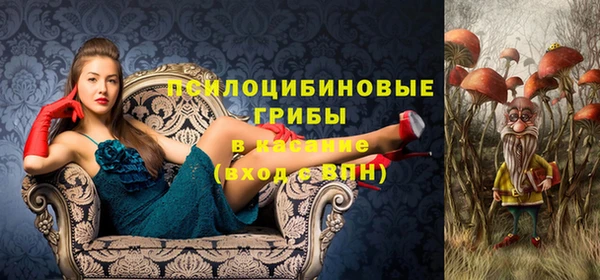 дурь Пестово