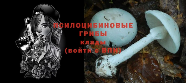 дурь Пестово