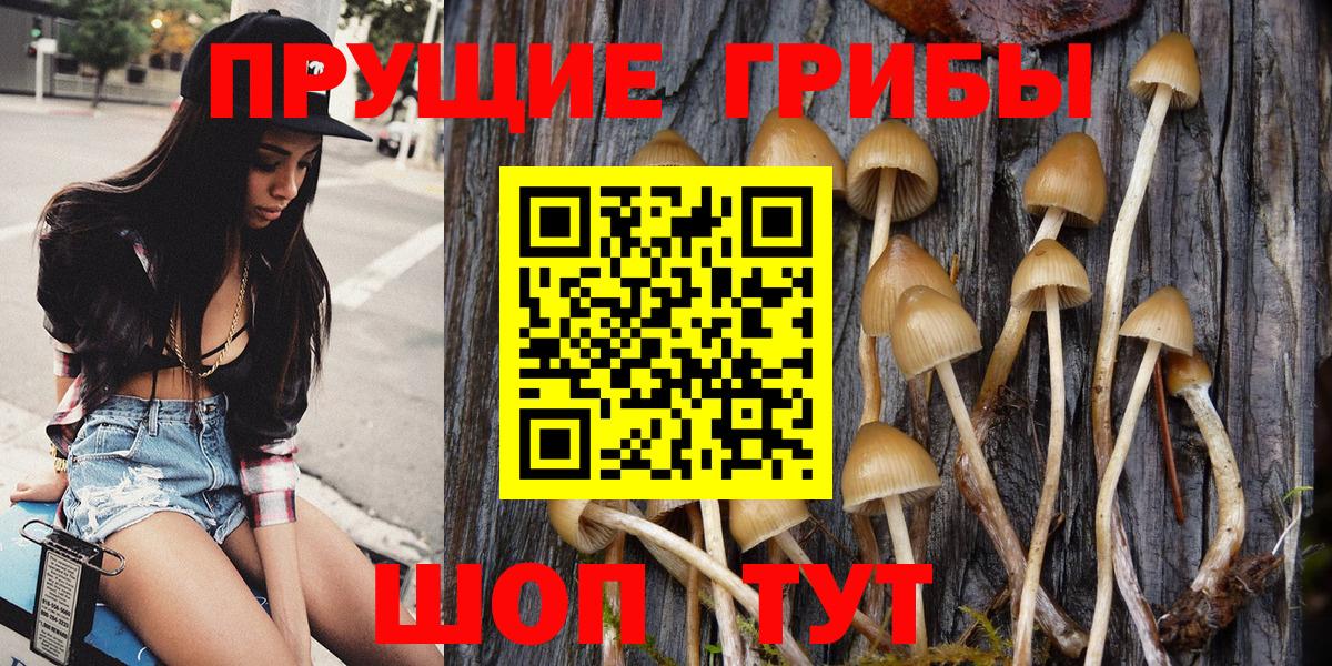 Галлюциногенные грибы MAGIC MUSHROOMS Петрозаводск