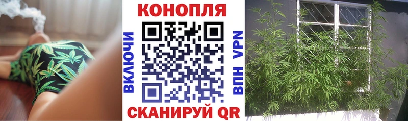 Шишки марихуана марихуана  Петрозаводск 